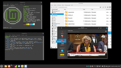 Screenshot der noch experimentellen Wayland-Session von Cinnamon 6.0 (Bild: Linux Mint).
