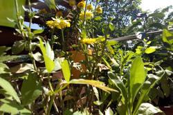 Aufnahme Frontkamera