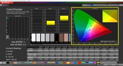 CalMAN ColorChecker (Profil: sRGB, Zielfarbraum: sRGB)