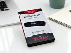 Kingston Fury Renegade G5 4 TB NVMe SSD – Schnellster Speicher dank PCIe 5.0 x4 für Gamer & Kreative