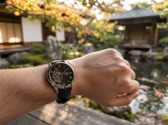Die Seiko HCB007 und HCB008 Uhren sind jetzt auch in Deutschland bestellbar
