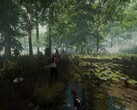 Ein Wald in The Forest
