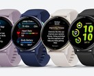 Amazon verpasst der Vivoactive 5 im Smartwatch-Deal über 90 Euro Rabatt (Bild: Garmin)