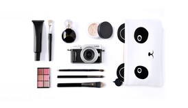 Panasonic Lumix GX880