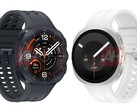 Aktuelle Hinweise zu den Specs der Galaxy Watch9 und Galaxy Watch Ultra 2 von Samsung.