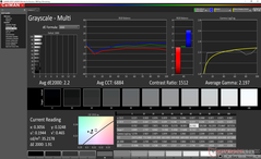Graustufen (kalibriert)