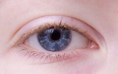 Google: Augen-Scan kann Krankheiten vorhersagen