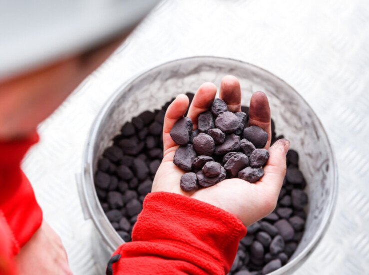 Wasserstoff reagiert mit Eisen-Nuggets und speichert seine Energie in Form von Eisenoxid (Bildquelle: Ambartec)