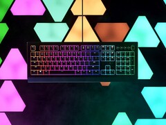 Razer Cynosa V2: Beleuchtetes Einsteiger-Keyboard für Gamer mit Mediensteuerung.