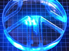 Biohybrid-Roboter wird mit Licht bestrahlt