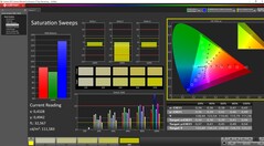 Sättigung kalibiert