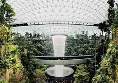 Das Highlight eines Singapur-Changi-Flughafen-Besuchs steht auch im Mittelpunkt eines Photo-Walks in Apples neuestem Store.