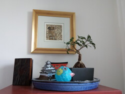 Aufnahme Frontkamera