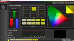 CalMAN: Farbsättigung (kalibriert)