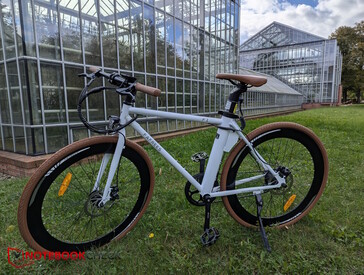 Im Botanischen Volkspark Pankow