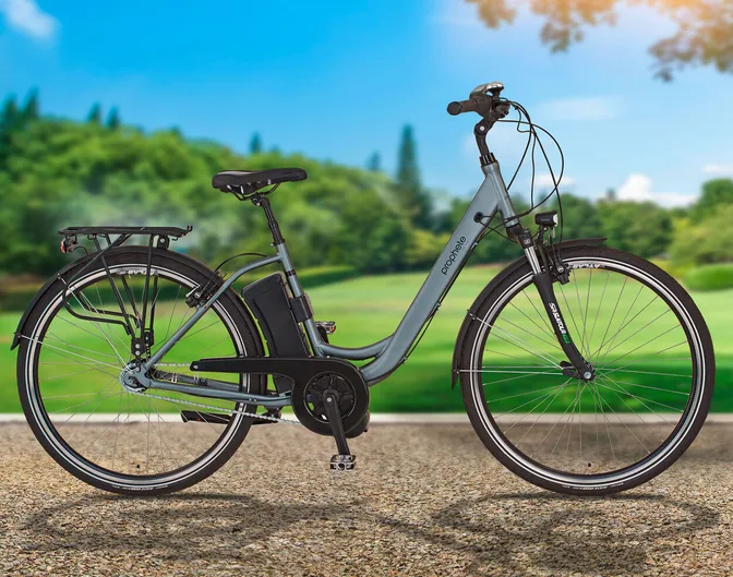 erädle klapprad E Bike: Folding Pedelec 20 inch, Brushless 250 W Motor, 36 V Battery, 6.8 Ah, 25 km/h (E Wheel, Folding Pedelecs, Brush) Casco - ROADster Plus - Farbe:Duplex Emerald grün migration_lindlau2 Alpe Adria Radweg: Alpenüberquerung