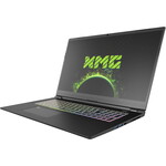 Schenker XMG Pro 17 (Late 2021, RTX 3080)