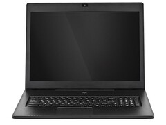 Test Schenker XMG C703 (MSI MS-1771) Notebook