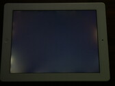 Displays: LG Displays für Displayprobleme bei Apples iPad verantwortlich?