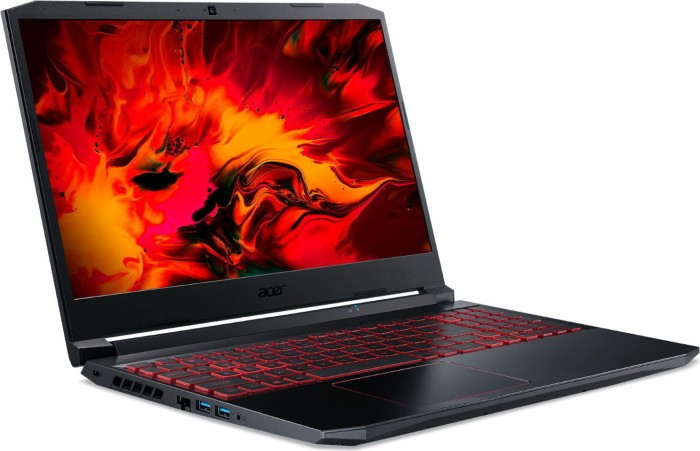Acer Nitro 5 AN515-56-58CQ